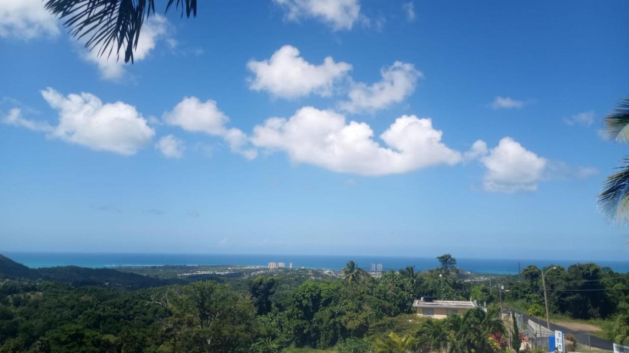 Million Dollar View In Puerto Rico Villa Luquillo Luaran gambar