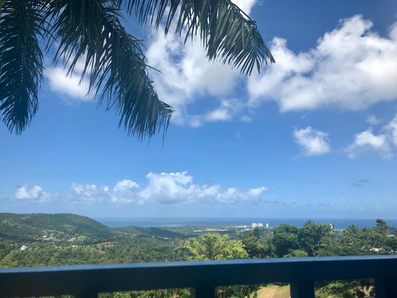 Million Dollar View In Puerto Rico Villa Luquillo Luaran gambar